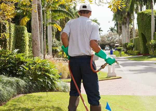 About Tennille GA Pest Control Pros